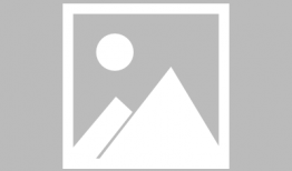 最新高招忍者爆料图片